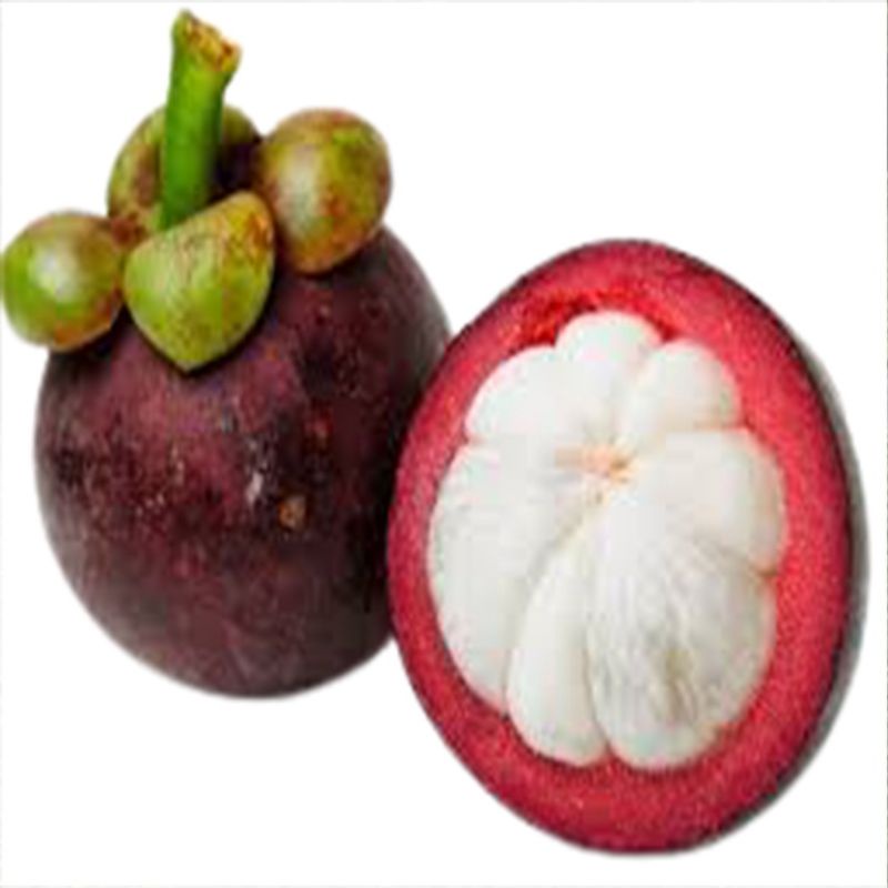 

Buah manggis segar 1kg