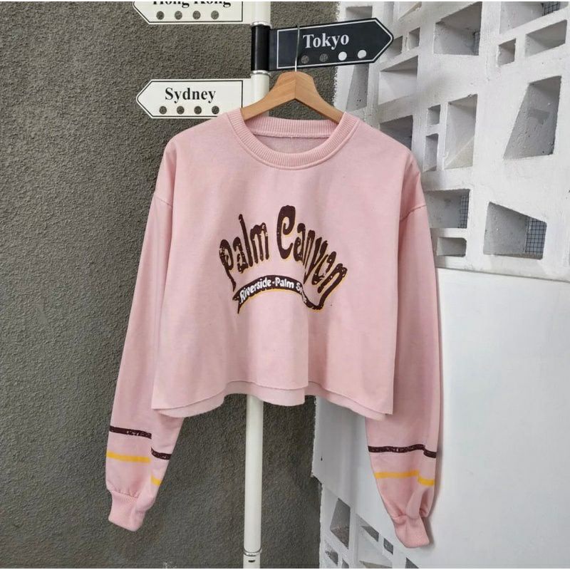 PALM CANYON CROP SWEATER | BASIC SWEATER WANITA KOREAN