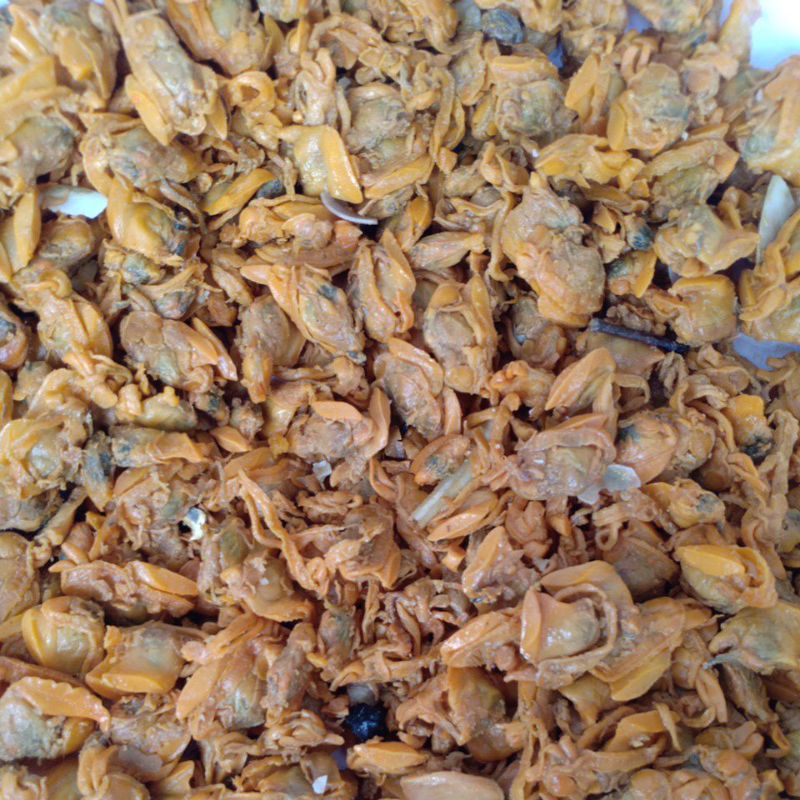 

Kerang asin