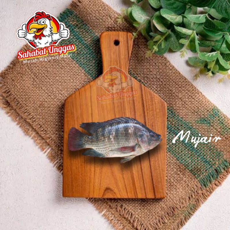 

Ikan Mujair 500gr