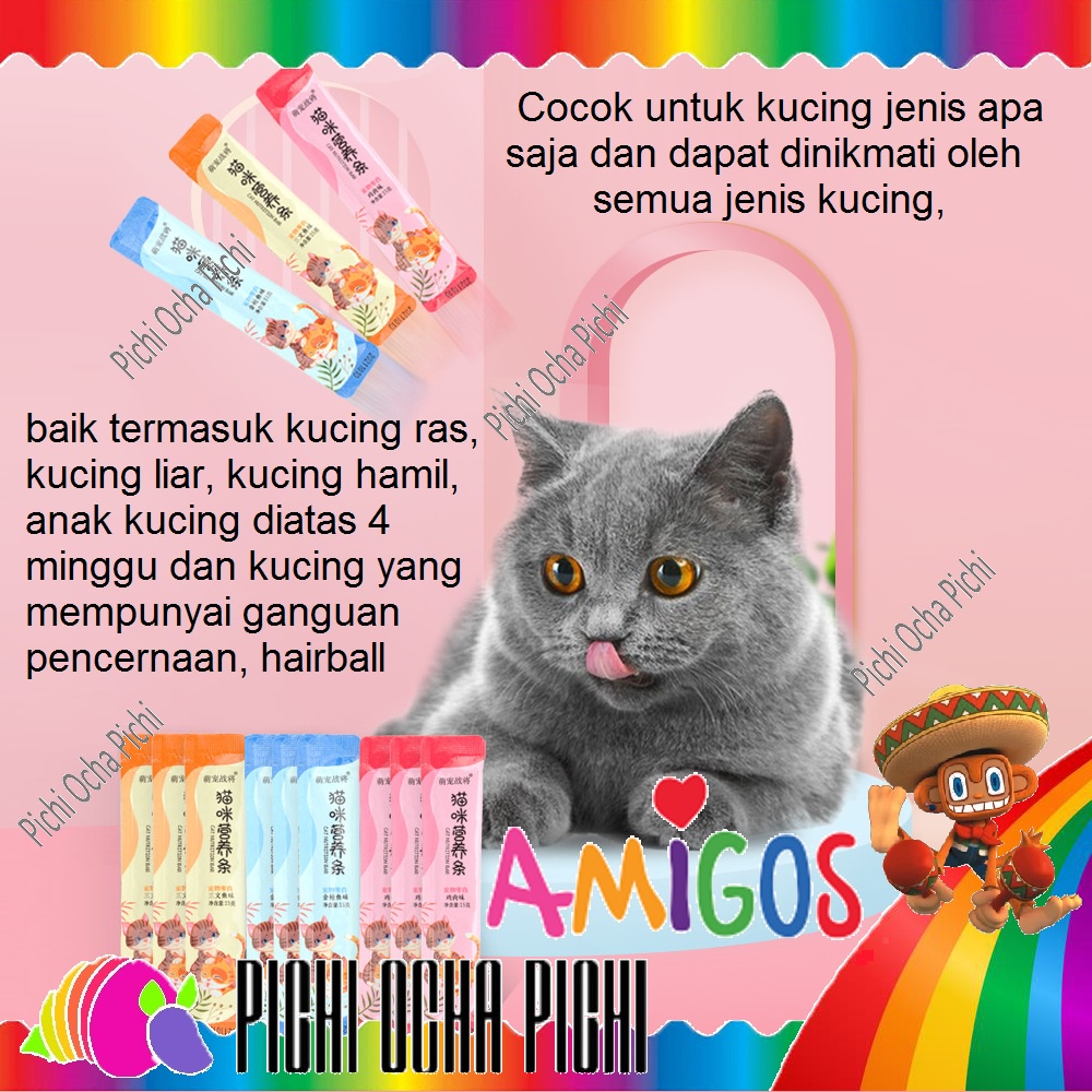 Snack Kucing Cemilan Treat Cat Pasta Wet Food @15gr Amigos