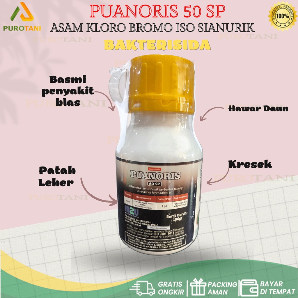 Bakterisida Puanoris 60 SP 100GR BA asam kloro bromo iso sianurik