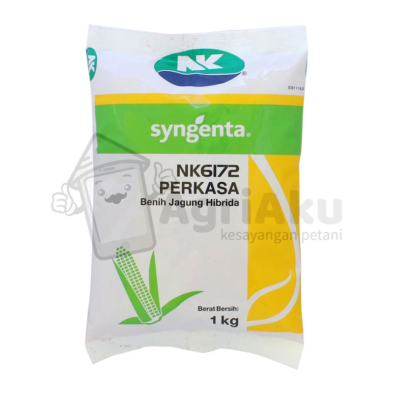 Benih Jagung Syngenta NK6172 Perkasa 1Kg