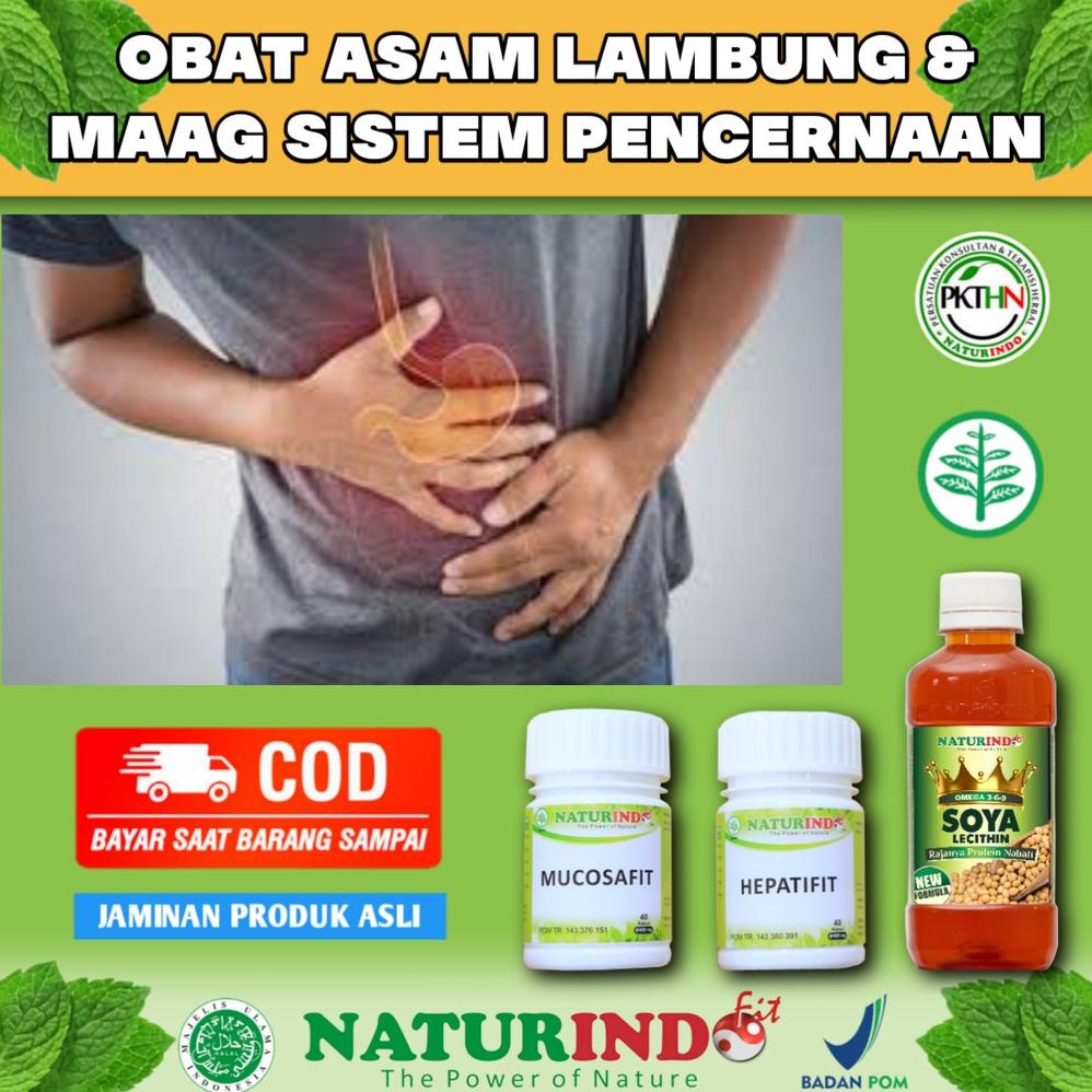 Obat Asam Lambung Herbal Ampuh Asam Lambung Lambung Maag Herbal Asam Lambung Asam Lambung Asam Lambu