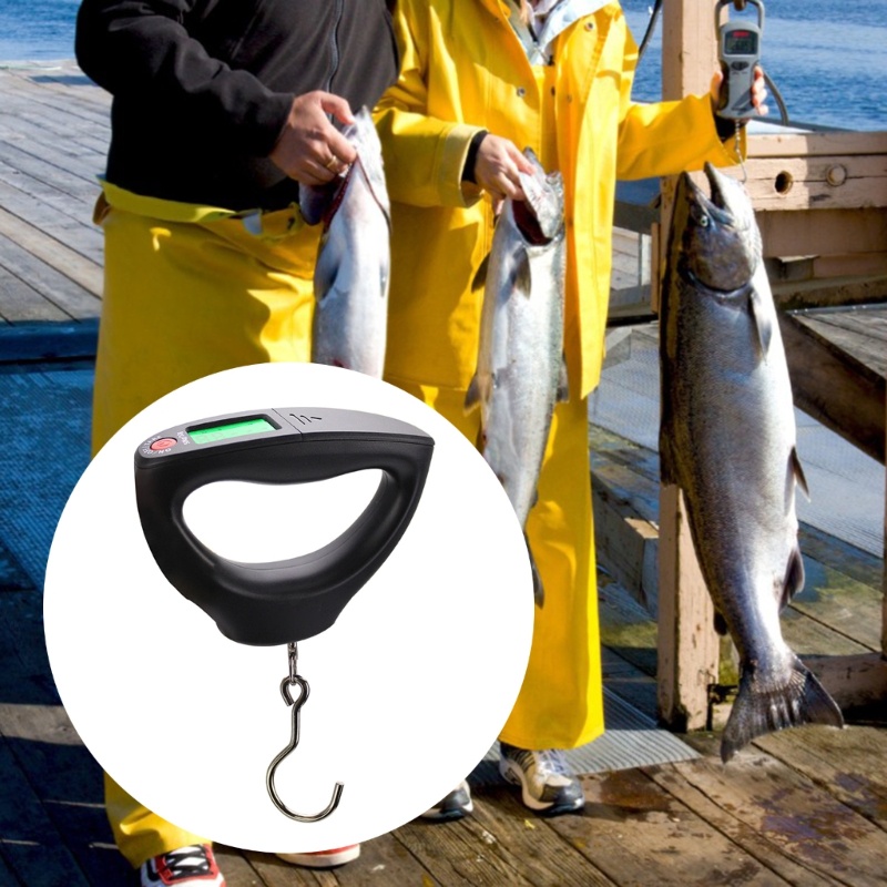 Zzz Timbangan Gantung Elektronik Balance 50Kg 10g Dengan LCD Digital Backlight Untuk Memancing