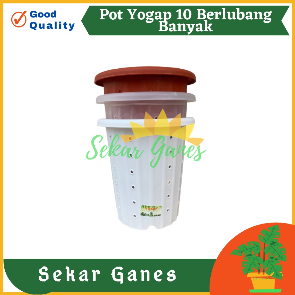 Pot Yogap 10 BERLUBANG Putih Bening Transparan Merah Bata Merah Coklat Terracota POT BUNGA YOGAP YPT 10 BERLUBANG BENING / TRANSPARAN PUTIH &amp; MERAH BATA | POT TANAMAN HIAS