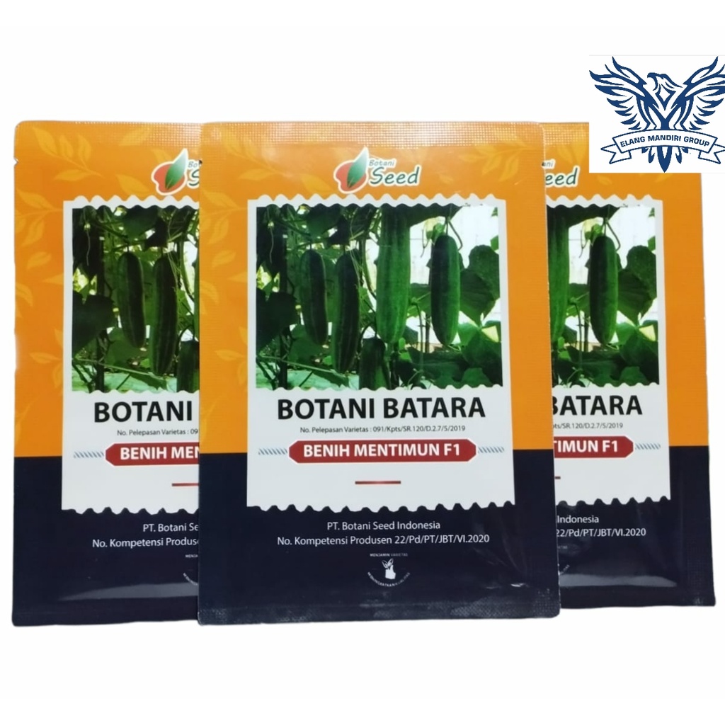 Benih Timun F1 Botani Batara 5 Gram Botani Seed