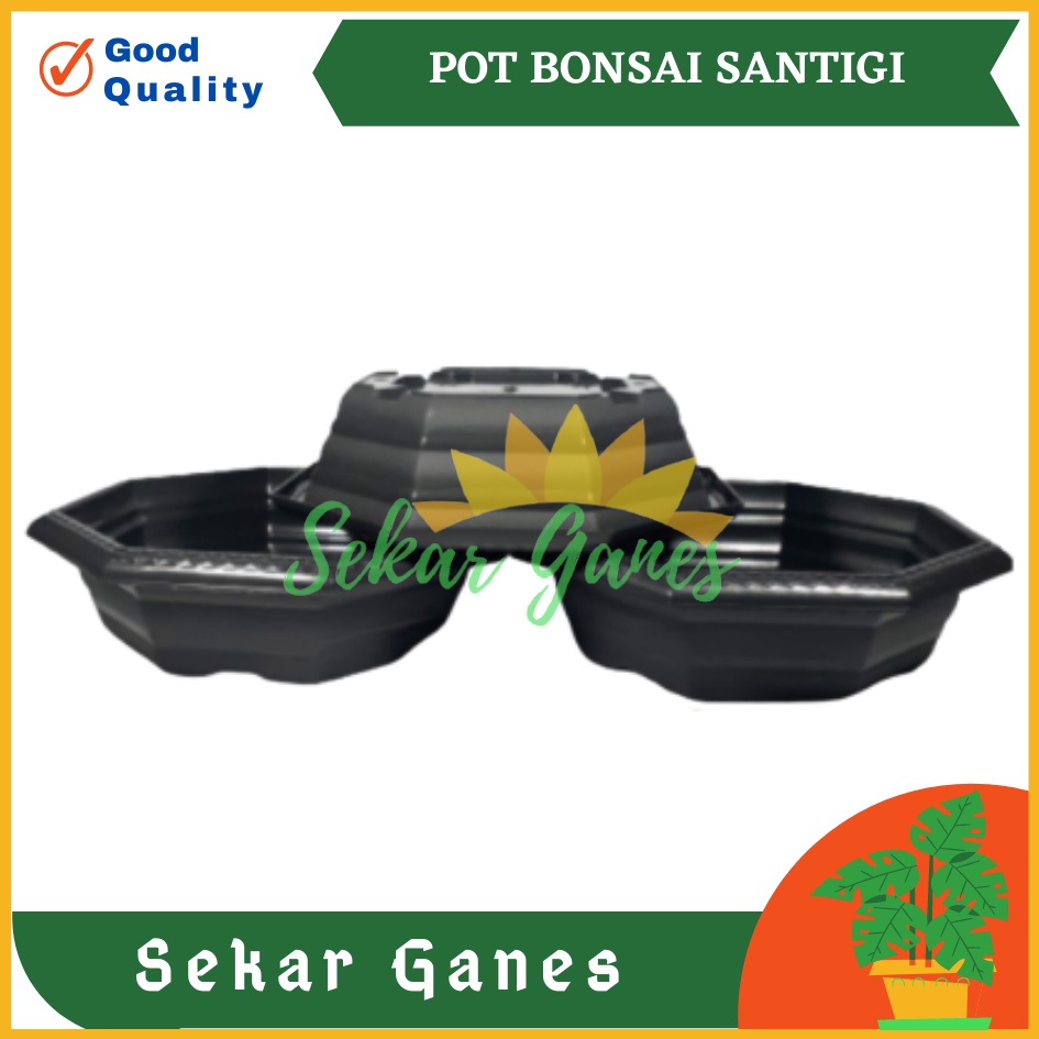 Pot Bonsai Santigi 30 Hitam Bonsai Segi 8 By Garden Of Love Pot Bonsai Kelapa Kotak Ceper Besar Mame