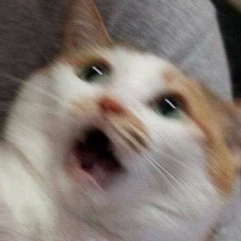 Layla aspirant mlbb costume cosplay