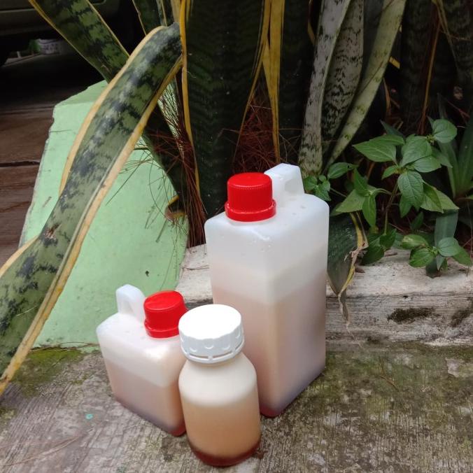 

SALE NOW MADU ALPOKAT SUPER 300G ORIGINAL