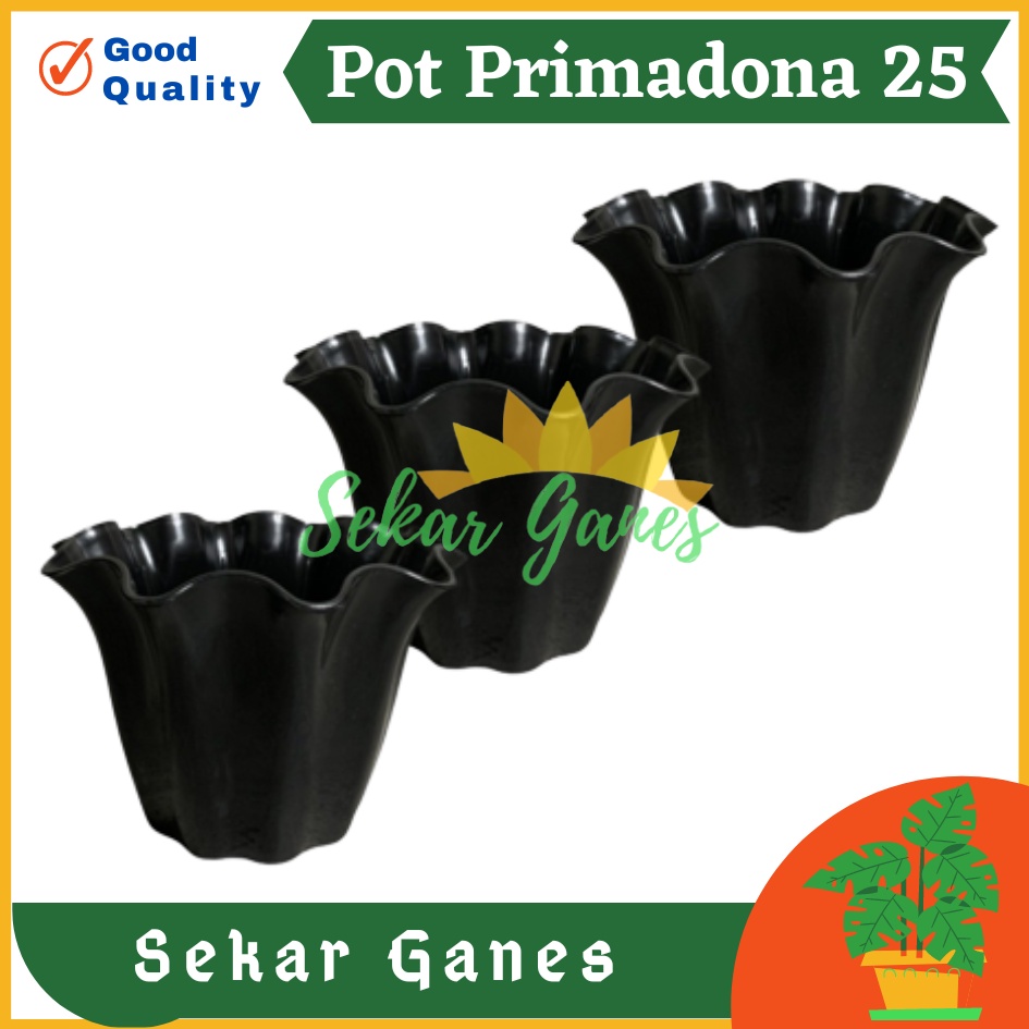 SHALLOM PRIMADONA 25 pot bunga plastik hitam cantik tebal motif ombak gelombang bagus pot primadona 25 hitam bagus murah