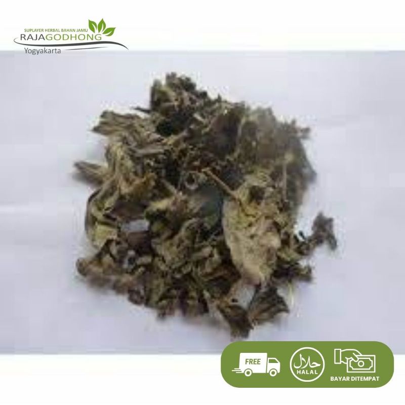 

daun sendok kering / sendokan berkualitas 500 gram dan 1 kg