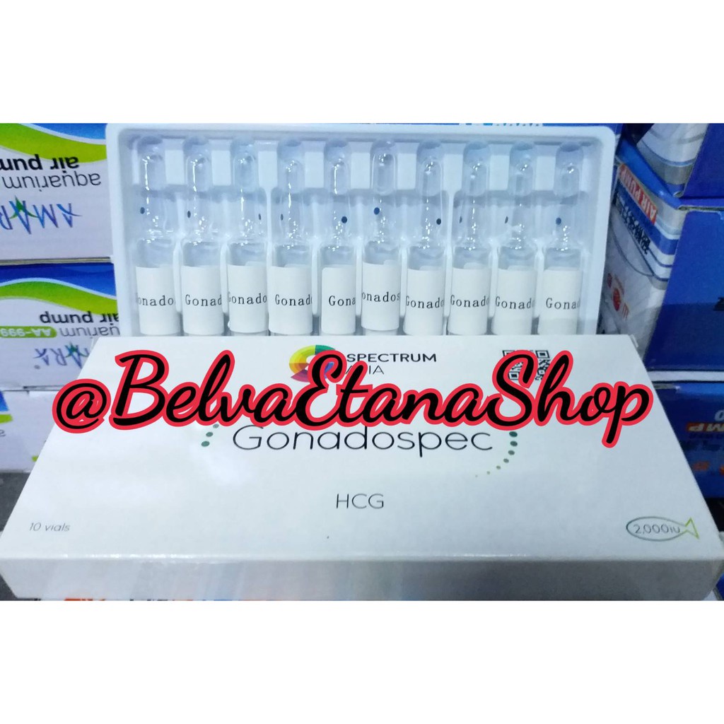 GONADOSPEC HCG 2000iU Obat Untuk Mempercepat Kematangan Seksual Ikan