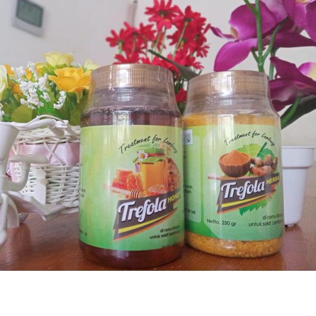 

EXCLUSIVE!TREFOLA (Treatment For Lambung) Madu Baduy & Herba Kunyit Temulawak|KD6