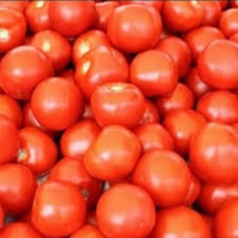 

tomat merah segar