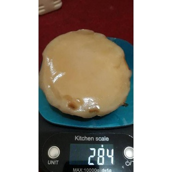 

(PROMO 0Z060) !!! SCOBY ATAU JAMUR DIPO TERMURAH UNTUK MEMBUAT KOMBUCHA ✥