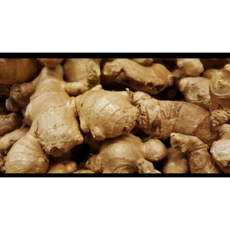 

JAHE 250 GRAM BUMBU DAPUR REMPAH - FC PALEMBANG