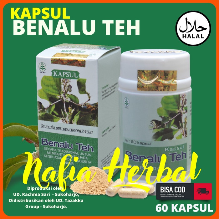 

ORIGINAL MURAH Daun Benalu Teh Kapsul Herbal Anti Kanker Ringan Tazakka 60 Kapsul