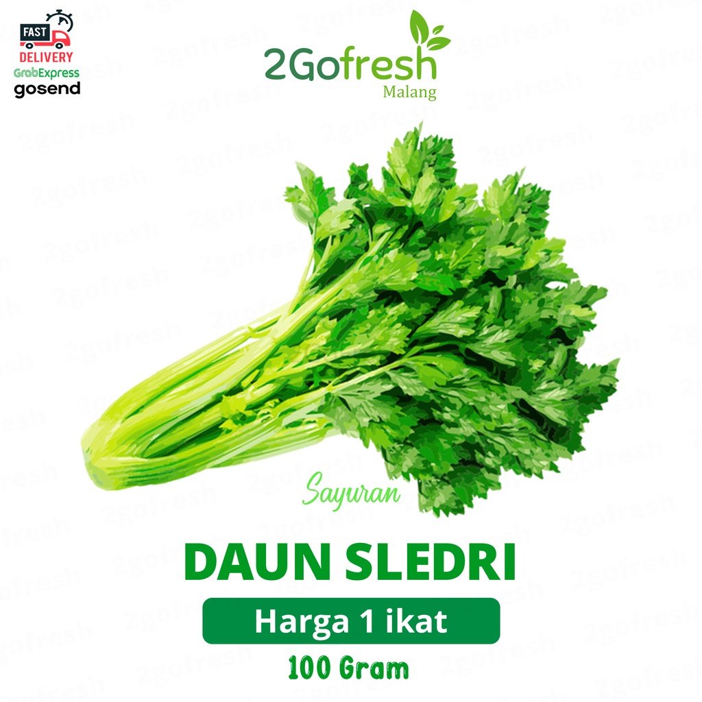 

Daun Sledri / Seledri / Celedri / Green Celery Fresh - Sayur Sayuran
