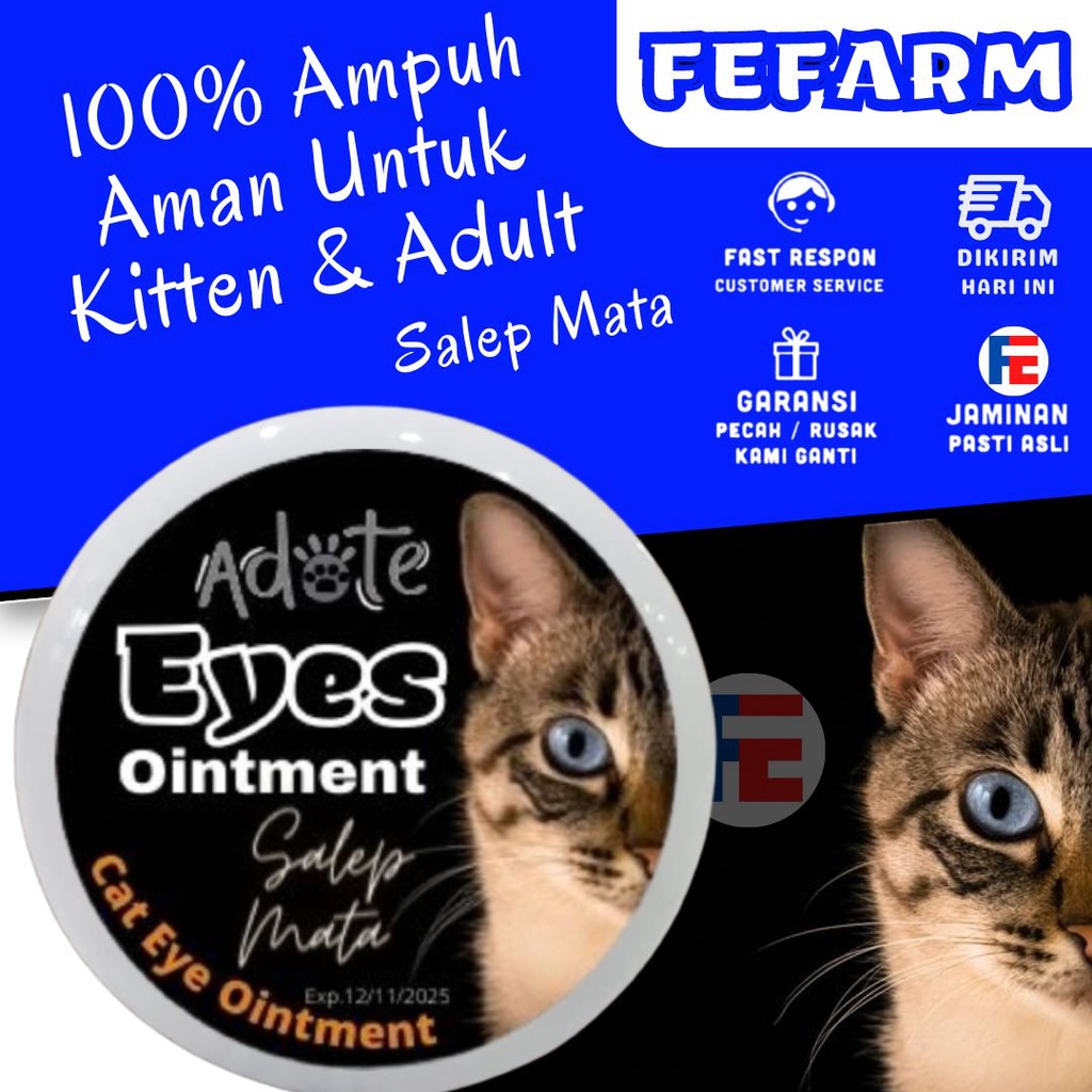 Obat Mata Kucing Kitten Adote Salep Mata Kucing Dan Anjing Super Ampuh FEFARM