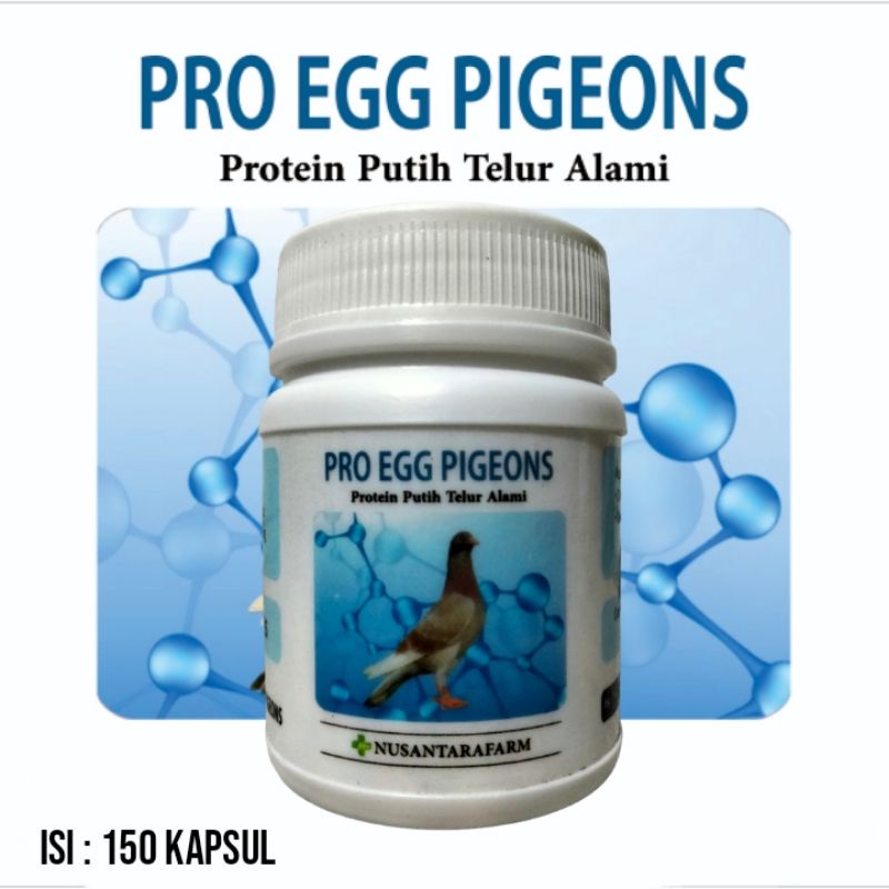 pro egg pigeons 150 kapsul protein putih telur alami untuk otot merpati obat otot merpati