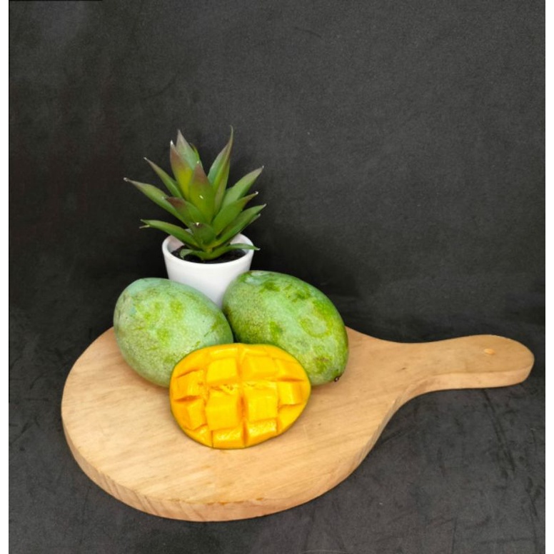 

Mangga manalagi, mangga manalagi fresh,murah grosir