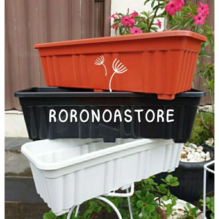 pot tanaman lee kwan yew panjang 50 cm pot panjang pot tanaman menjuntai warna hitam putih merah