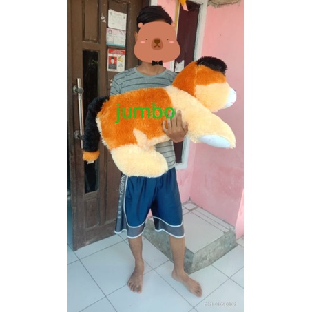boneka kucing cantik lucu jumbo