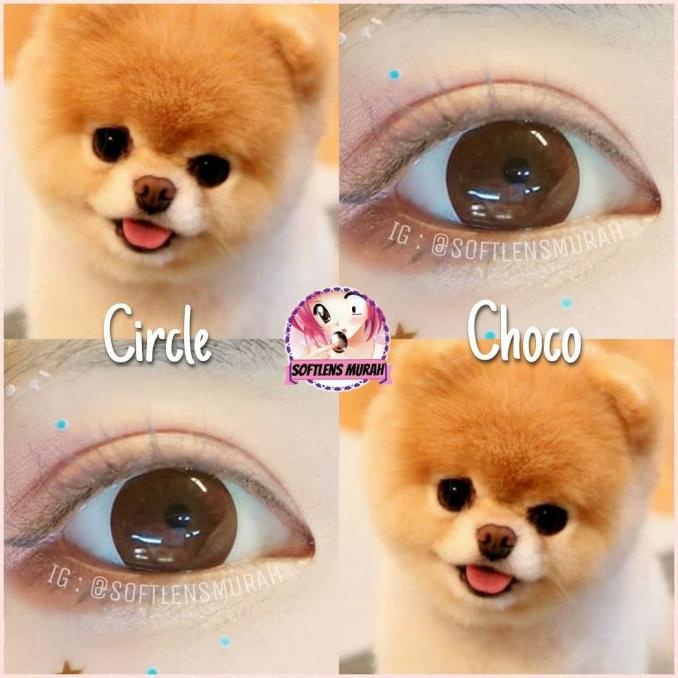 CIRCLE CHOCO / BLACK SOFTLENS