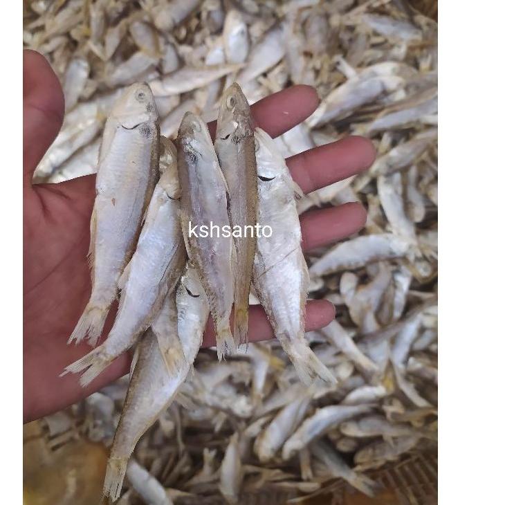 

BISA COD ✔️Ikan asin Bilis cop-500gram|KD3