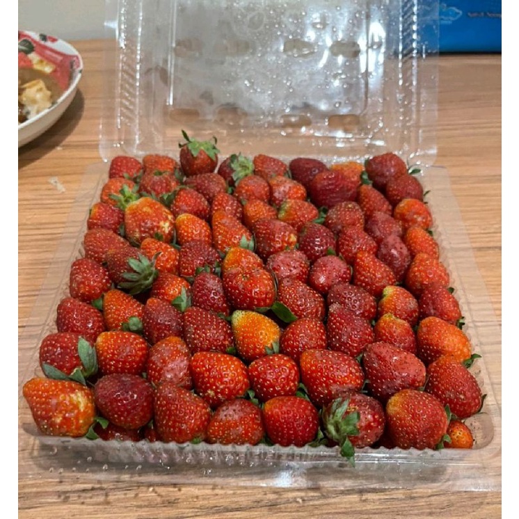 ✔SJLSTORE Strawbery Jumbo 1kg Fress Strawberry Fruit Segar Buah Stobery Manis Stroberry Giant Besar