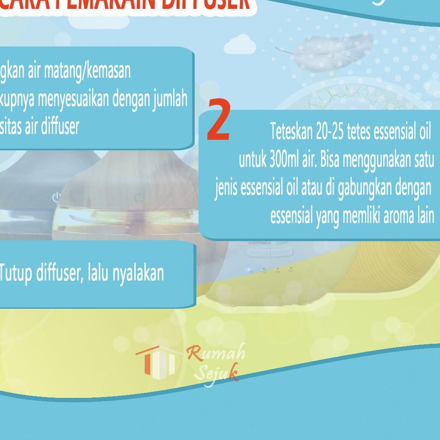 MALL RS - Air Humidifier Diffuser Aromaterapi Alat Pengharum Ruangan Difuser Disfuser Unik Lucu RS-H