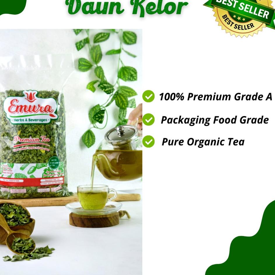 

10.10 STOK READY JUAL DAUN KELOR KERING PREMIUM 100% ORGANIK / TEH KELOR / MORINGA TEA / OBAT KOLESTROL !!