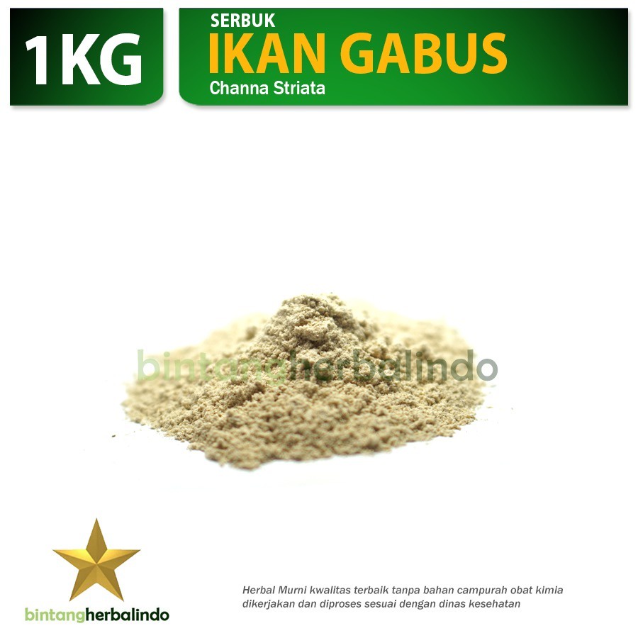 

IKAN GABUS KUTUK Extract Nutrisi Pertumbuhan Pembentuk Otot Tulang 1kg