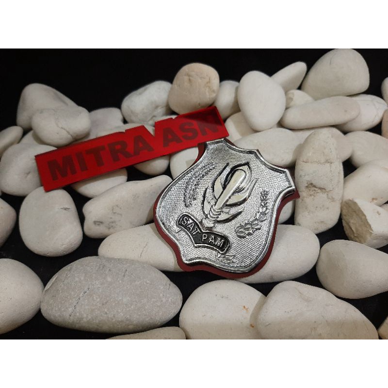 Pin Kewenangan Satpam Besar