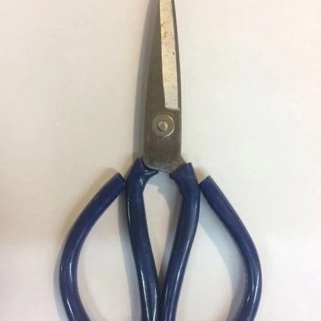 

Jualan Gunting Kain Model Kodok Size Jumbo 22Cm Bahan Baja Kualitas Bagus Hot Sale