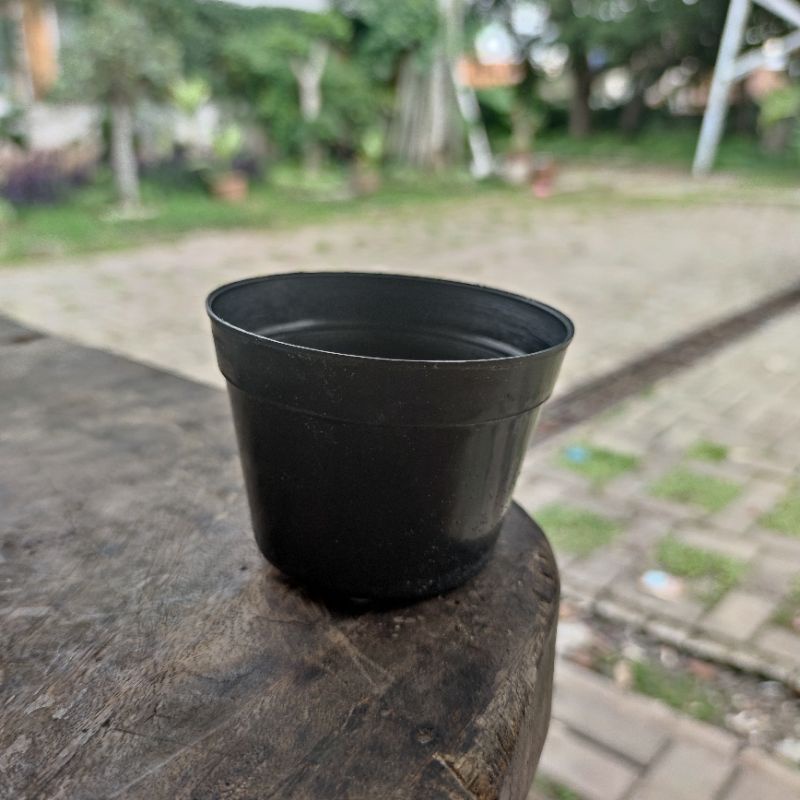 LUSINAN (12PCS)Pot Bunga Plastik 10cm | Pot Tanaman Hias