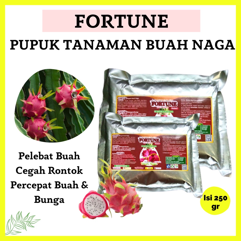 Pupuk Buah Naga Agar Berbuah Lebat, Pupuk Booster Buah Naga Cepat Berbuah, Pupuk Buah Naga Anti Layu