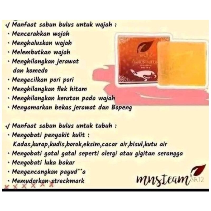 SR12 FACE WASH 60GR | SABUN BATANG SR12 ORIGINAL BPOM