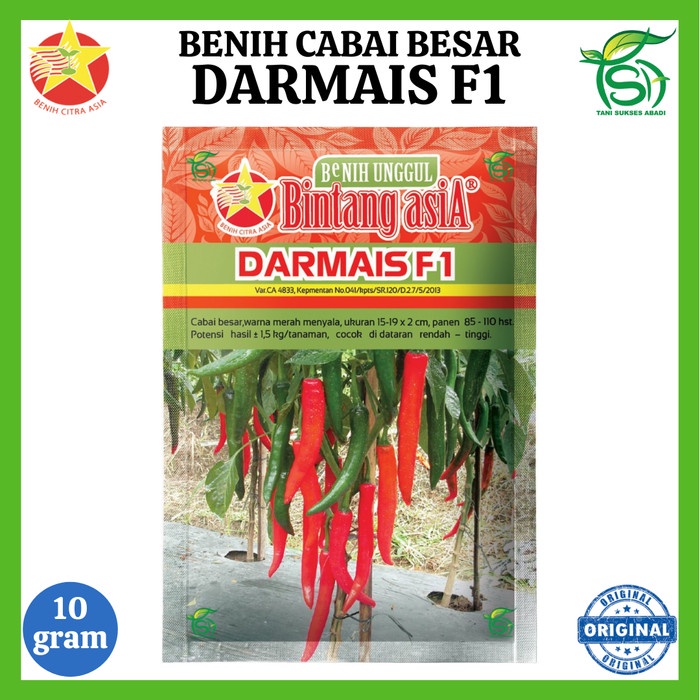 Benih Cabai DARMAIS F1 (10 Gram) - Bibit Cabe Besar Bintang Asia