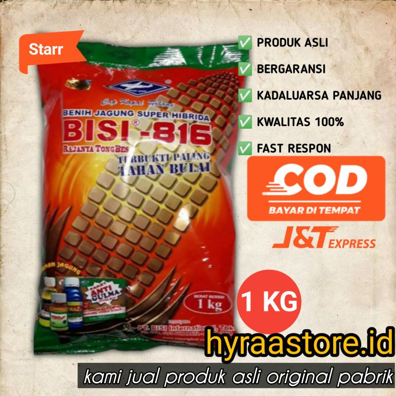Benih jagung Bisi 816 - 1 kg kadaluarsa 2023