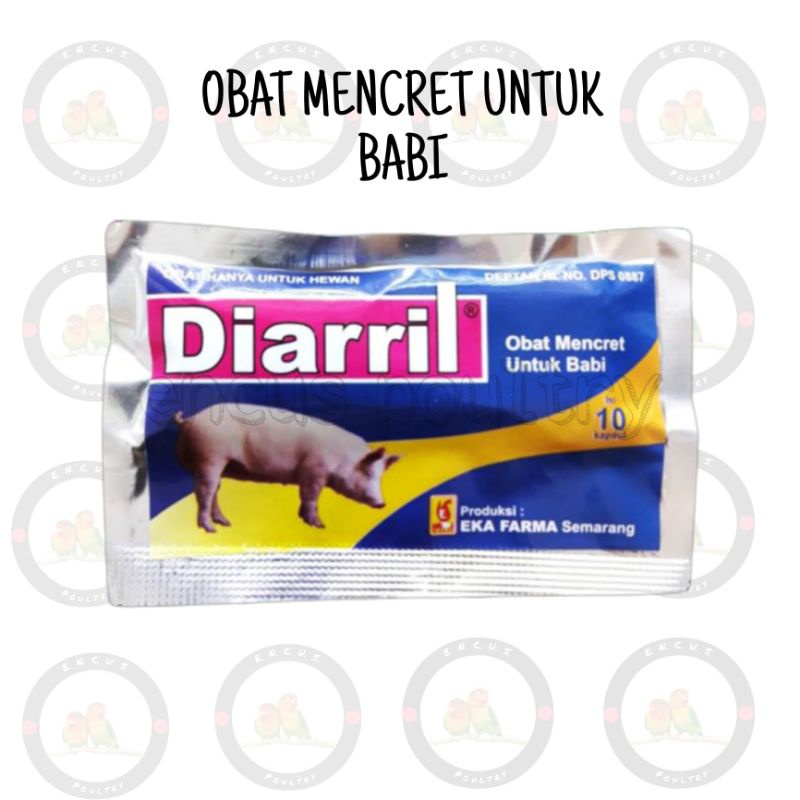 DIARRIL OBAT MENCRET BABI EKA FARMA