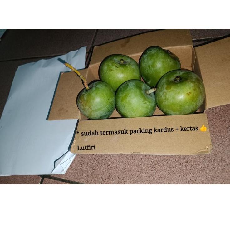 

✨Promo✨ Hari Ini Mangga apel Mentah 1 kilogram ( rasa masam / asam ) Pas Buat di rujak dan di makan segar mangga muda mantap asam asem serbuuu !