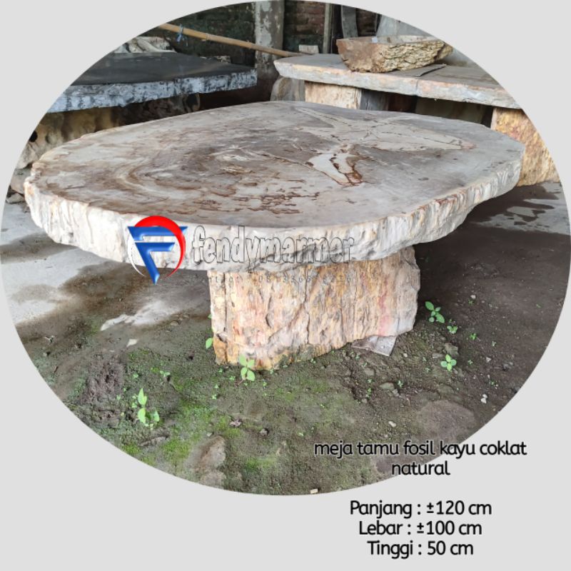 Meja tamu batu fosil kayu coklat petrified coklat bulat natural