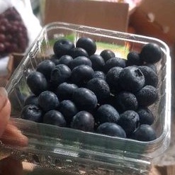 

BUAH BLUEBERRY ARANDANO 1 KARTON