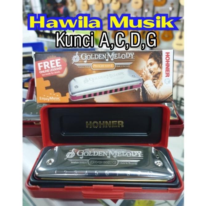 Golden Melody Harmonica Harmonika HOHNER Golden Melody Made in Germany