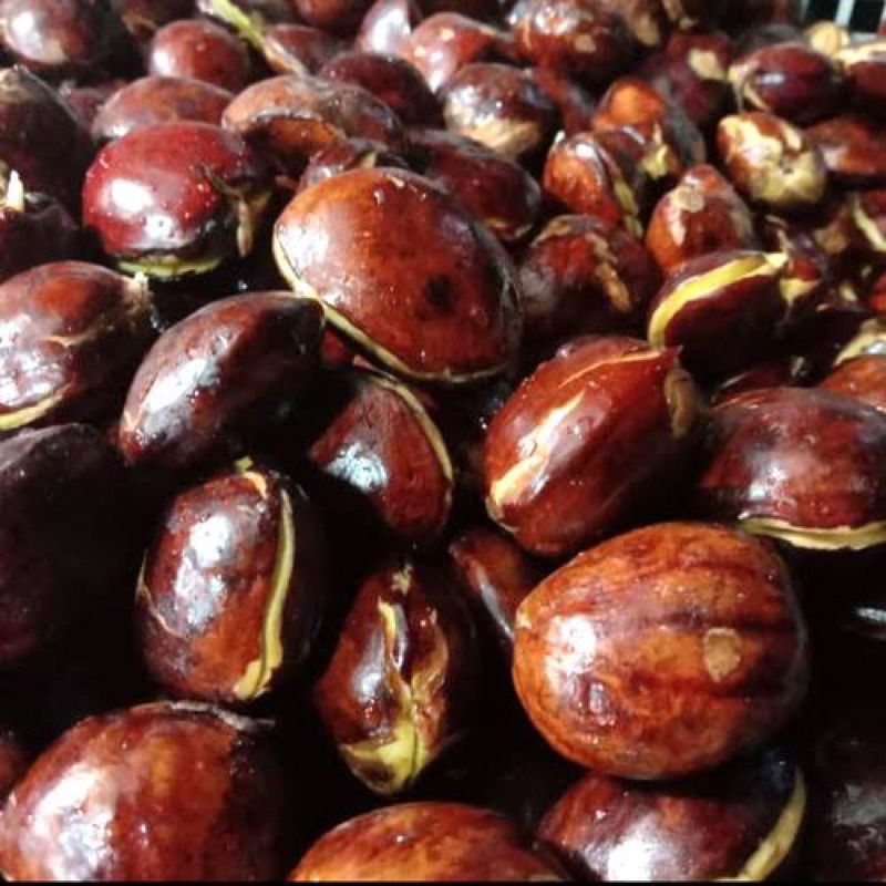 

[DAPUR EXPRESS] Jengkol 250 gram