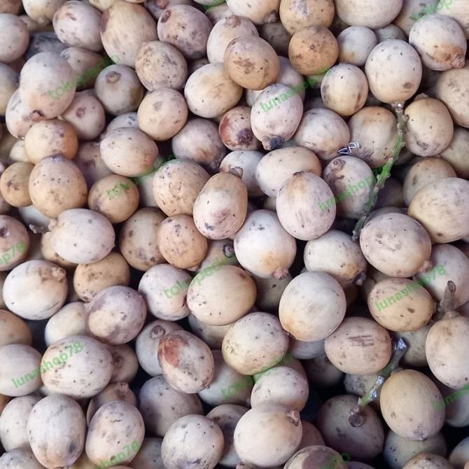 

Ready stock] Buah langsat 1kg