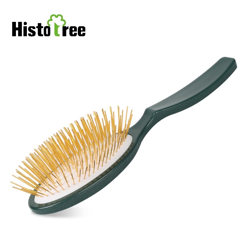 Histrotree oval gold pin brush