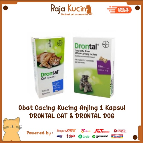 Obat cacing drontal anjing kucing